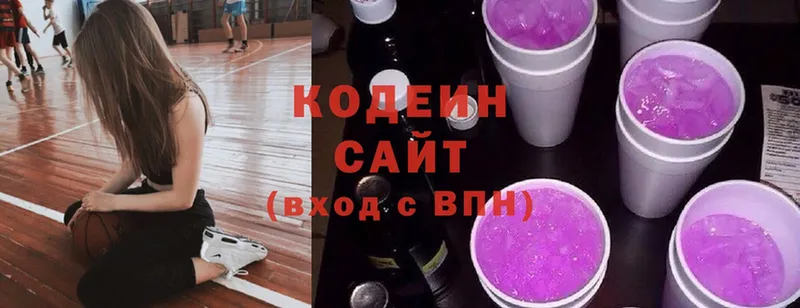 купить наркотик  Лениногорск  мега как войти  Кодеиновый сироп Lean Purple Drank 