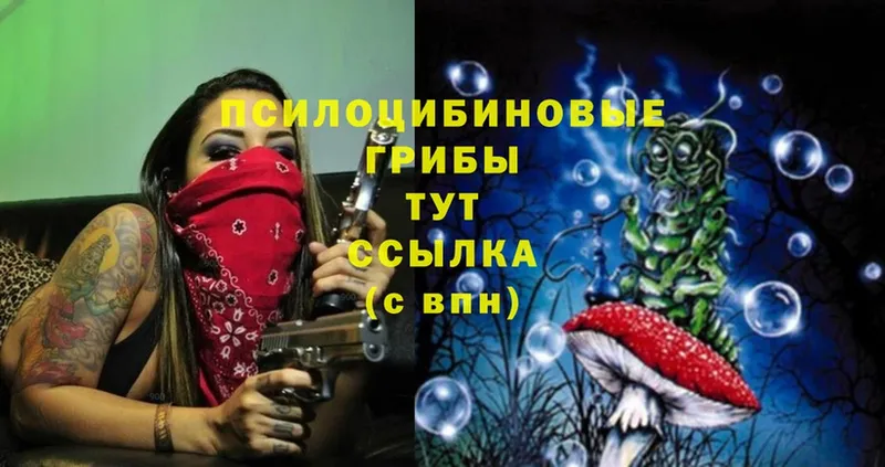 Псилоцибиновые грибы Psilocybine cubensis  Лениногорск 